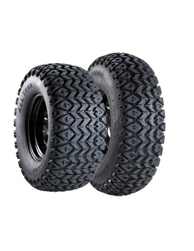 CARLSTAR ALL TRAIL 22/11 R10 76F