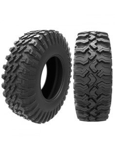 ARISUN BRUISER VT 30/10 R14 70M