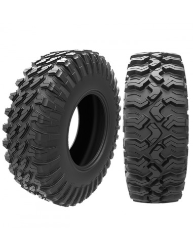 ARISUN BRUISER VT 30/10 R14 70M