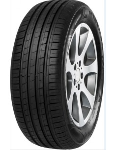 MINERVA F209 205/50 R16 91W