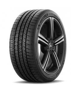 MICHELIN P.SPORT A/S 4 315/30 R21 105V