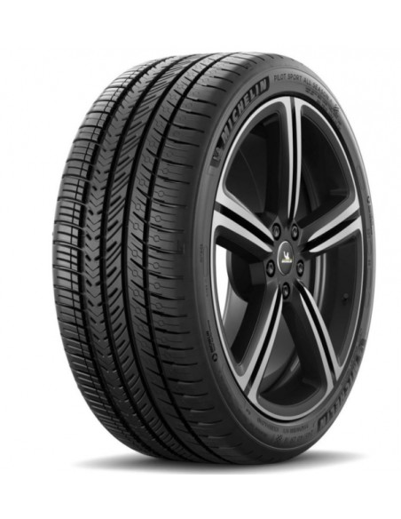 MICHELIN P.SPORT A/S 4 315/30 R21 105V